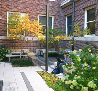 JRA_UIUC Lincoln Hall Courtyard_Fall Garden A